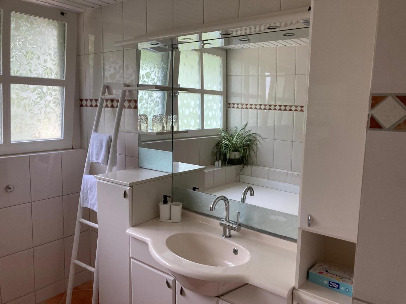 Geesteren  B&B Erve Moeskert מראה חיצוני תמונה
